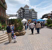 Village at Snowshoe